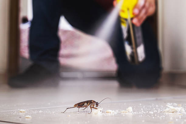 Best Pest Prevention Services  in Placitas, NM